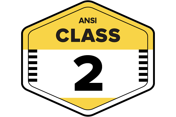 ANSI Class 2 high-visibility apparel badge