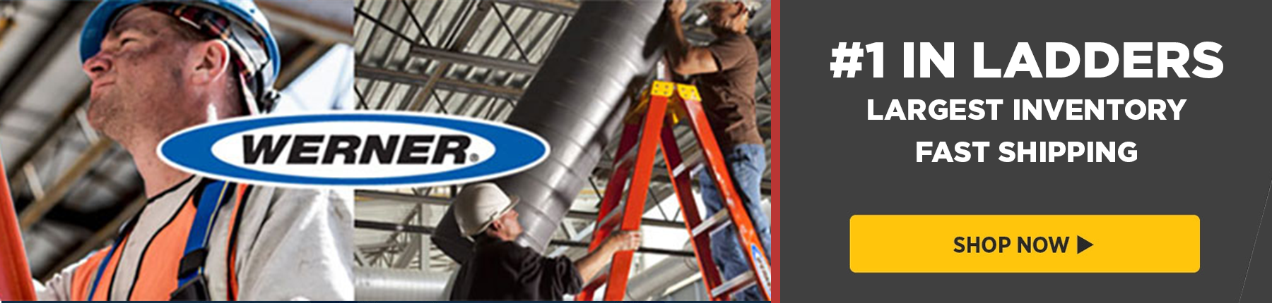 Werner Ladders